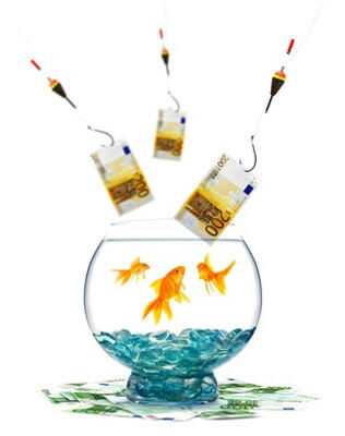 ber Kder, Fische und Angler im Webdesign